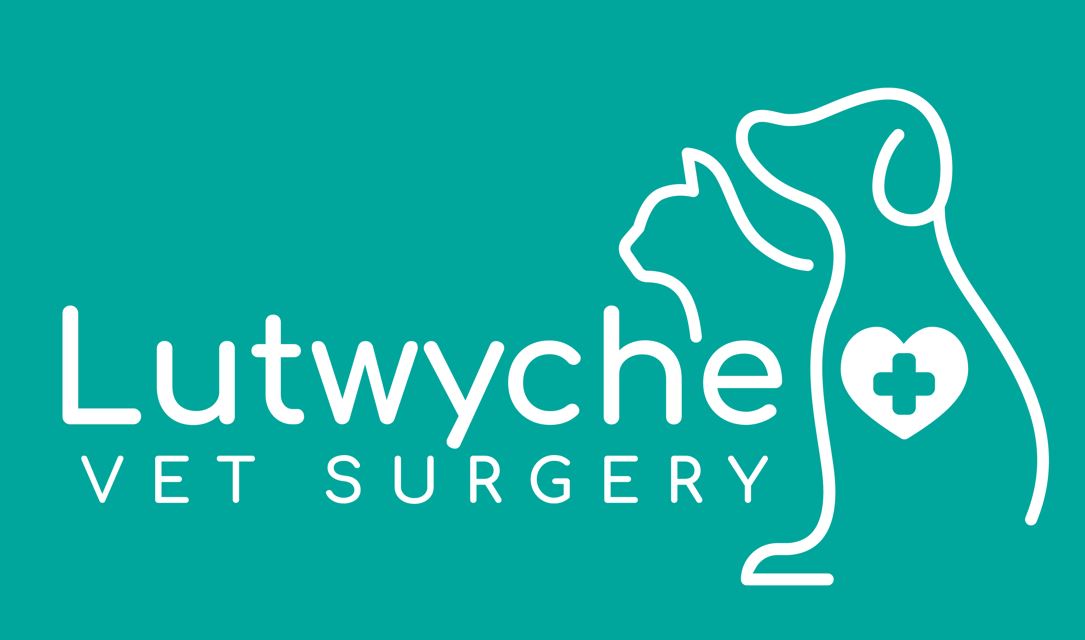 Lutwyche Veterinary Surgery