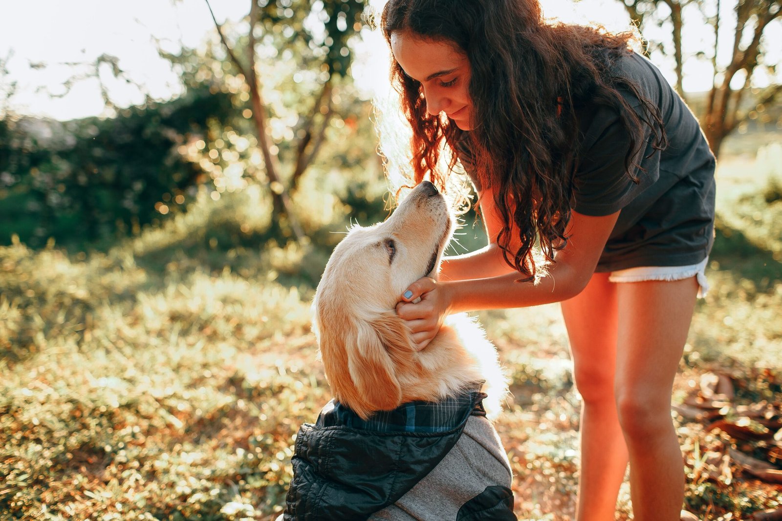 Young female petting Golden Retriever in jacket on grassy meadow near trees in sunny day in nature